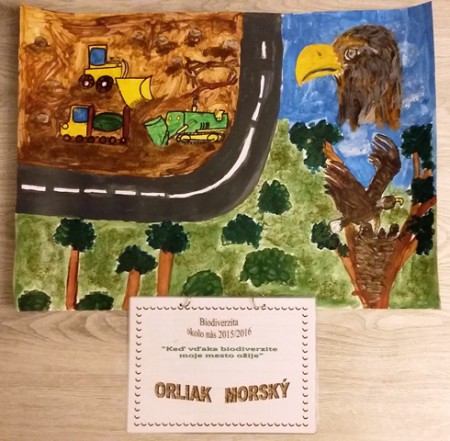 ...a takto išiel náš projekt do súťaže